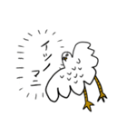 メツキノワルイトリ（個別スタンプ：34）