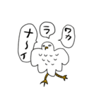 メツキノワルイトリ（個別スタンプ：36）