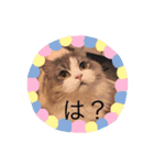 クルルのスタンプ（個別スタンプ：2）