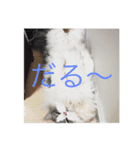 クルルのスタンプ（個別スタンプ：7）