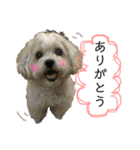 しゅうもこ シリーズ2(修正版)（個別スタンプ：4）