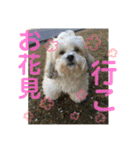しゅうもこ シリーズ2(修正版)（個別スタンプ：5）