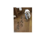 しゅうもこ シリーズ2(修正版)（個別スタンプ：7）