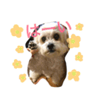 しゅうもこ シリーズ2(修正版)（個別スタンプ：9）