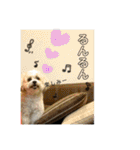 しゅうもこ シリーズ2(修正版)（個別スタンプ：30）