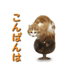 博多弁猫（個別スタンプ：13）