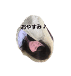 ゆうたむスタンプ（個別スタンプ：2）