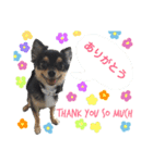 ちぐさんた（個別スタンプ：3）