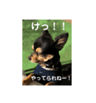 ちぐさんた（個別スタンプ：12）