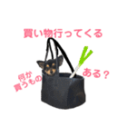 ちぐさんた（個別スタンプ：13）