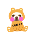 我が家のふぅちゃん 2nd（個別スタンプ：6）