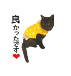 白猫タマとしましまーずの日常(敬語)（個別スタンプ：5）