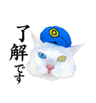 白猫タマとしましまーずの日常(敬語)（個別スタンプ：8）