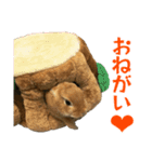 こむぎちゃんと風太くんFamily（個別スタンプ：8）