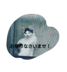 マチーお嬢様の日常会話2（個別スタンプ：2）