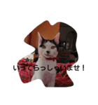 マチーお嬢様の日常会話2（個別スタンプ：5）