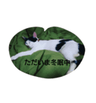マチーお嬢様の日常会話（個別スタンプ：6）