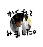 オス兄弟 01（個別スタンプ：16）