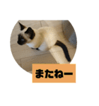 ぼた・ちょび・つぶ（個別スタンプ：1）