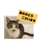 ぼた・ちょび・つぶ（個別スタンプ：3）
