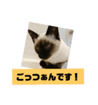 ぼた・ちょび・つぶ（個別スタンプ：4）