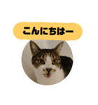 ぼた・ちょび・つぶ（個別スタンプ：6）