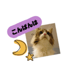 ぼた・ちょび・つぶ（個別スタンプ：7）