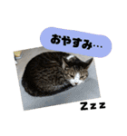 ぼた・ちょび・つぶ（個別スタンプ：8）
