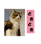 ぼた・ちょび・つぶ（個別スタンプ：13）