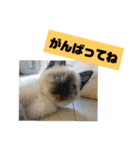 ぼた・ちょび・つぶ（個別スタンプ：27）