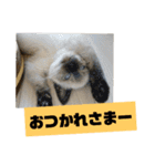 ぼた・ちょび・つぶ（個別スタンプ：28）