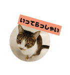 ぼた・ちょび・つぶ（個別スタンプ：29）