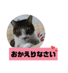 ぼた・ちょび・つぶ（個別スタンプ：30）