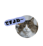 ぼた・ちょび・つぶ（個別スタンプ：32）