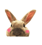 むぎとゆかいな仲間たち（個別スタンプ：2）