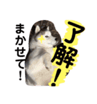癒し系満載2（個別スタンプ：24）