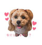 ペキプー♡つくね姫（個別スタンプ：1）