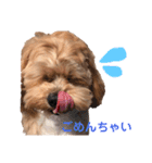 ペキプー♡つくね姫（個別スタンプ：5）