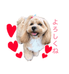 ペキプー♡つくね姫（個別スタンプ：12）