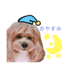 ペキプー♡つくね姫（個別スタンプ：13）