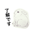きなきなきなこの気持ち（個別スタンプ：4）