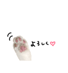 猫のきもち。（個別スタンプ：5）