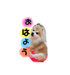 ボスわか2（個別スタンプ：10）
