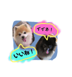 ボスわか2（個別スタンプ：14）
