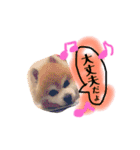 ボスわか2（個別スタンプ：16）