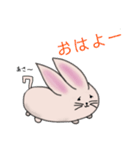 もちのようなうさぎらしい（個別スタンプ：3）