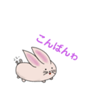 もちのようなうさぎらしい（個別スタンプ：5）