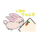 もちのようなうさぎらしい（個別スタンプ：13）