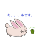 もちのようなうさぎらしい（個別スタンプ：19）