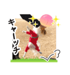 パピヨンの麦ちゃん（個別スタンプ：33）